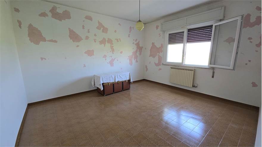 Photo 38